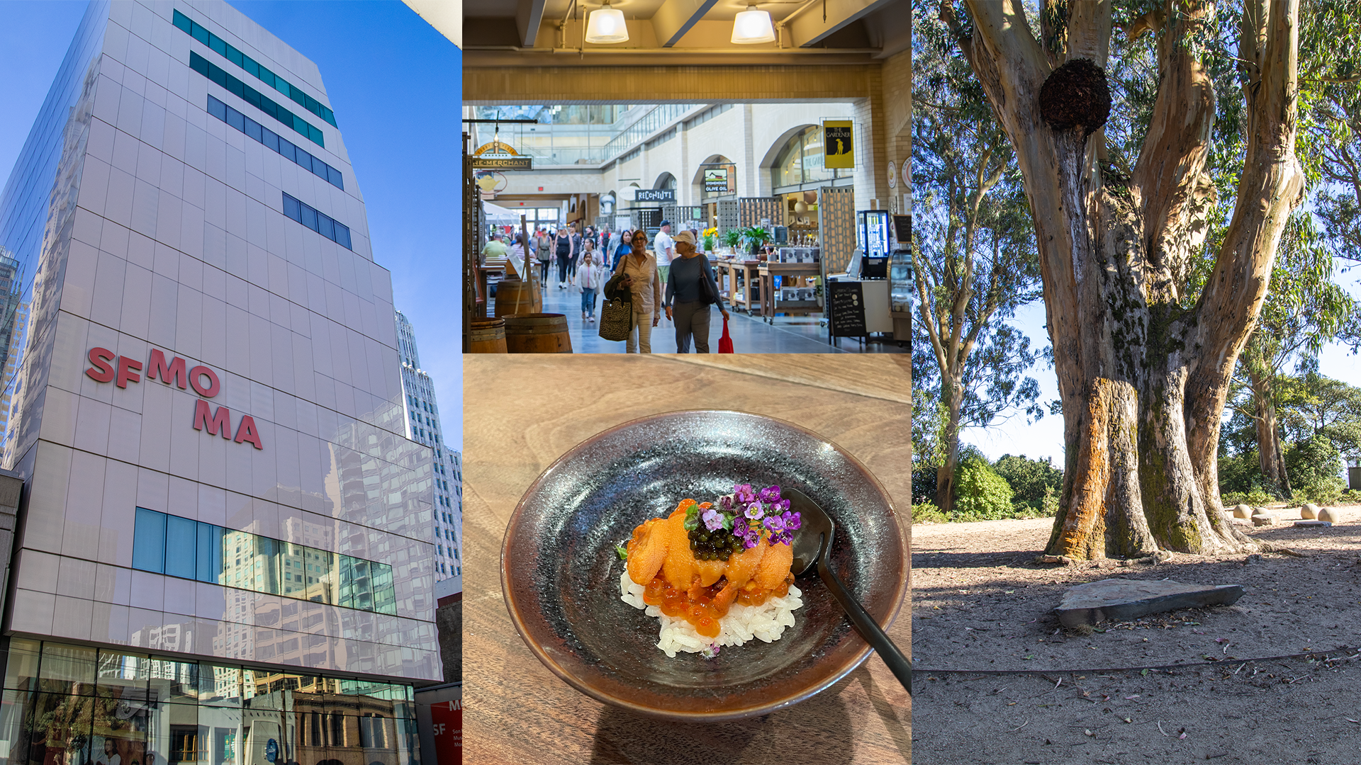 collage of photos that include the SFMOMA people walking in the ferry building, a picture of a dish from a sushi restuarant, and a tree in a park